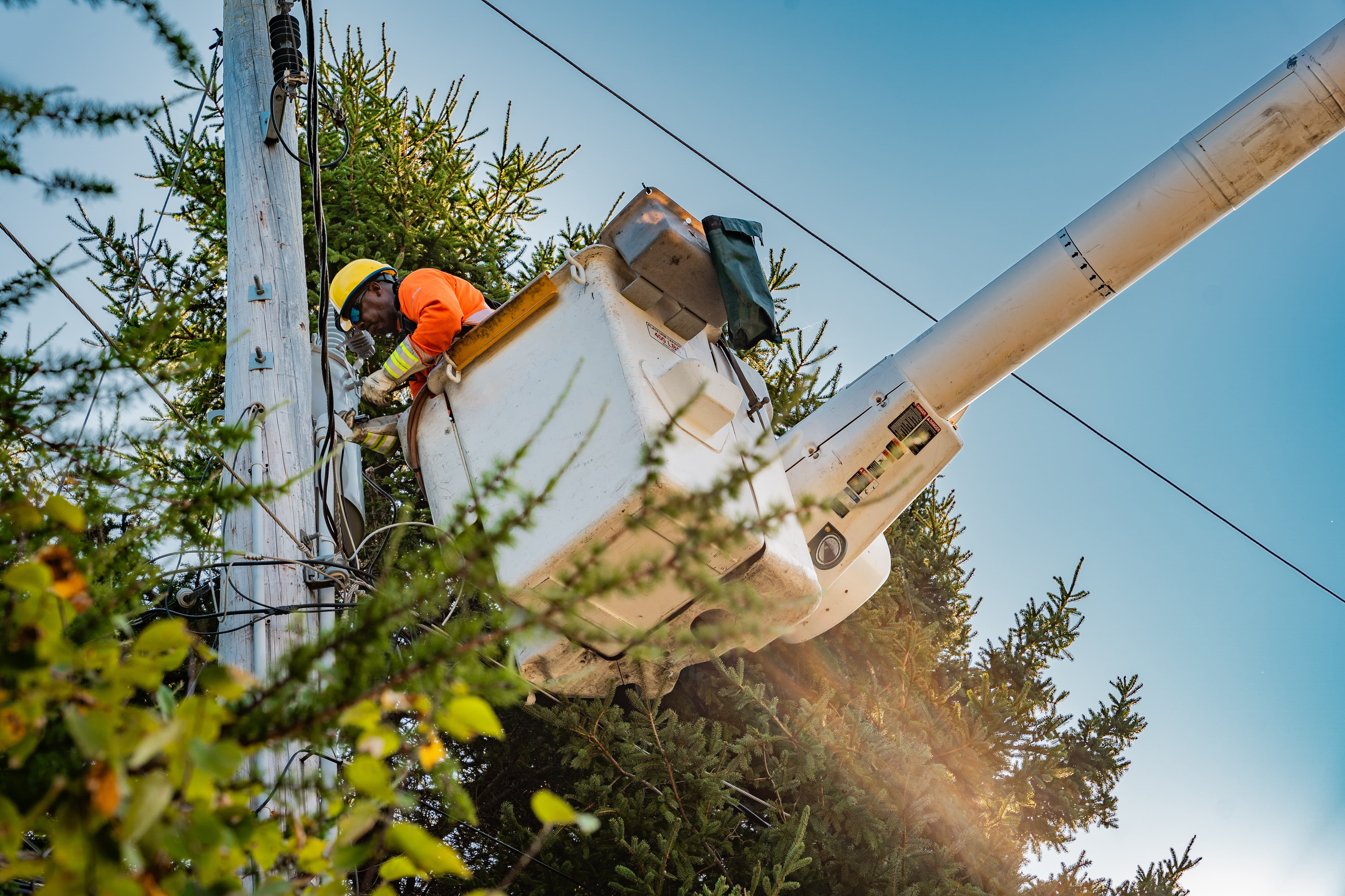 Reliability Work_PLT